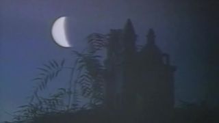 Weird Fuckin Sex 3 Scene 8-1