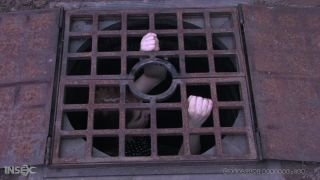adult video clip 31 Calico, Sister Dee - Ice Pony I on gangbang xxx nude slave bdsm-2