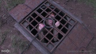 adult video clip 31 Calico, Sister Dee - Ice Pony I on gangbang xxx nude slave bdsm-5
