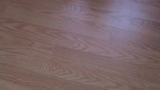 [SiteRip] SheMuscleGym cassandraFloyd-640wmv-001-0