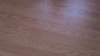 [SiteRip] SheMuscleGym cassandraFloyd-640wmv-001-1