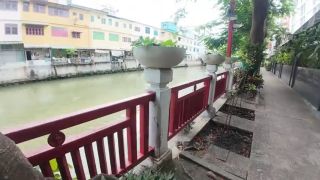 60Fps I found a Monitor Lizard in Bangkok Thailand-6