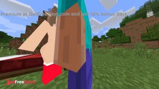 Minecraft Jenny Elf gameplay xhatihentai-9