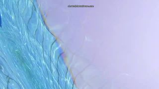 Thanks to a bikini malfunction we can see both pussy and tits  1 280-0