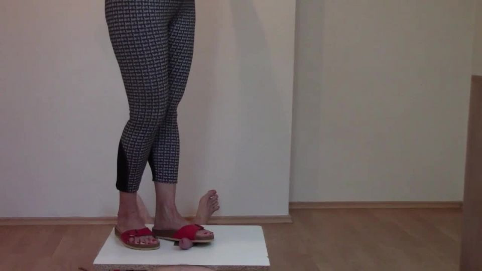 online porn video 5 Mistress Fatalia – Cbt Birkenstock Red Sandals On Slave Cock And Balls | femdom | femdom porn rikki six femdom