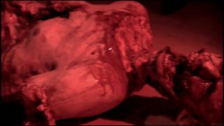Irene Holzfurtner - No Reason 2010 - HD-1