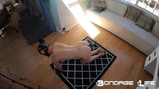 adult video clip 37 Bondage Life – Sleepy Pet Rachel Greyhound | bondage life | fetish porn gary roberts bdsm-9