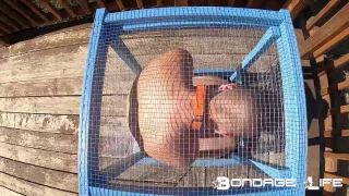 free adult video 33 lesbian mistress bdsm fetish porn | Bondage Life – Tiny Cage Rachel Greyhound | fetish-7