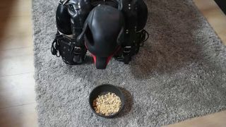 ClaudiaHon H265 2023-12-28 - Training Good Puppy-1