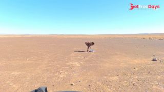 Sexcation Part 3 - bathing in the middle of the desert a nd giving daddy a blowjob-2