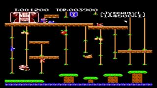 Video Games Let's Play Donkey Kong Jr.-0