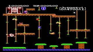 Video Games Let's Play Donkey Kong Jr.-1