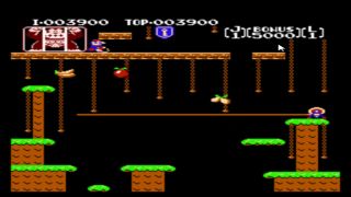 Video Games Let's Play Donkey Kong Jr.-3