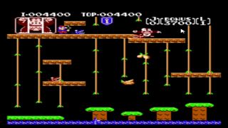 Video Games Let's Play Donkey Kong Jr.-5