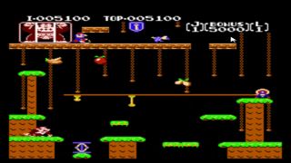 Video Games Let's Play Donkey Kong Jr.-7