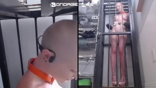 adult xxx clip 40 Bondage Life – Cage Time With Greyhound (Closeup Edition) | bdsm | bdsm porn underarm fetish-7