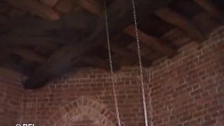 adult xxx clip 41 Two dominated chicks punished and waxed from their male friend on fetish porn free cfnm femdom-2