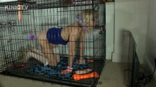 April - Dog Cage-5