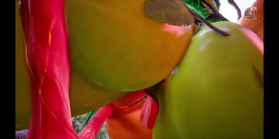 3D monster threesome with two girls - Dryad and Elf in forest
