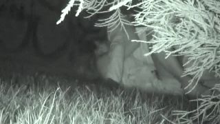 free adult clip 34 FU10.Night.Crawling.147 on voyeur -7