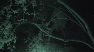 free porn clip 47 Sexy Girl riding,  on public -5