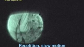 free video 3  public | film_039 | film_039-1