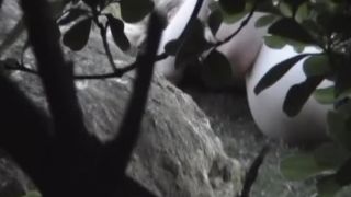 free porn clip 35 Voyeur043 - k2s.tv on femdom porn femdom sex slave-8